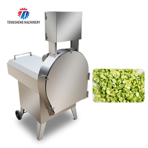 Quality 2.25KW 140KG Multi-function CNC vegetable cutter Automatic vegetable cutter large batch vegetable cutter for sale