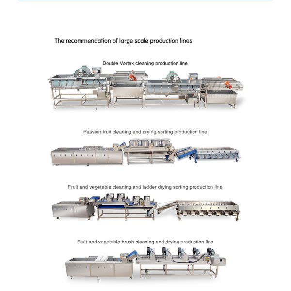 185KG Papaya section melon cutting machine cabbage cutting machine stainless steel fruit and vegetable cutting equipment
