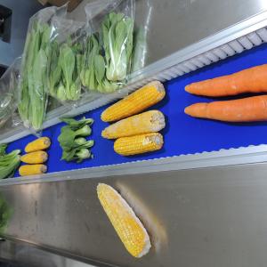 Multi Function Pillow Type Packaging Machine For Restaurants With Servo Motor Control