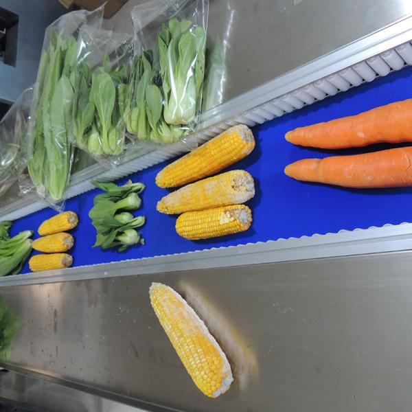 Quality Multi Function Pillow Type Packaging Machine For Restaurants With Servo Motor Control for sale