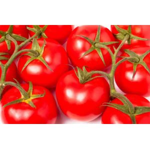 High Capacity Fresh Tomato Puree Processing Line Customization