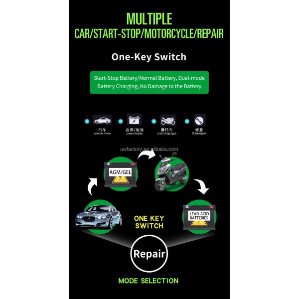 Automatic Identification 12V6V 8A 10A 12A Lead-Acid Battery Charger with Multi- and PC Fireproof Material