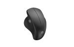 USB Interface Computer Hardware Devices , 2.4 GHZ Ergonomic Bluetooth Mouse
