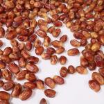 Size Classification 2.0 Tons Per Hour 8-Lane Palm Dates Sorting Machine