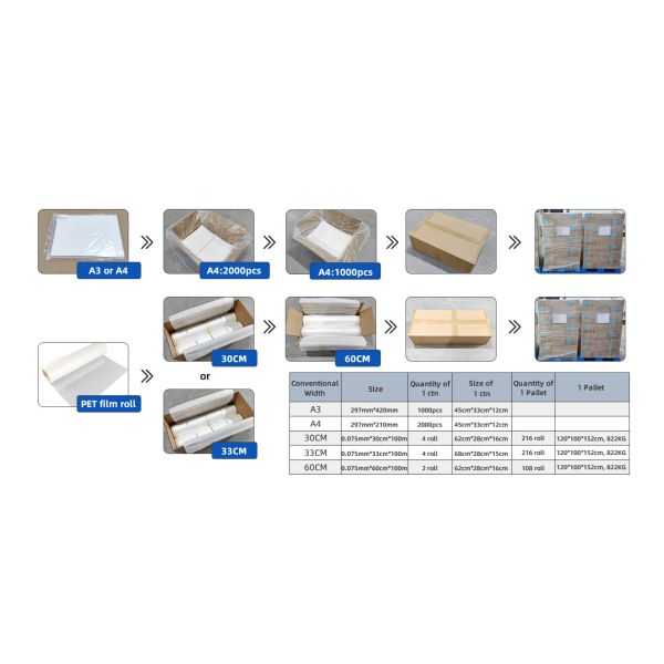 DTF Film for Bright and Long-lasting Printing Cool Hot Peel 0.075mm*600mm*100m/roll 10-15s Heat Press Time
