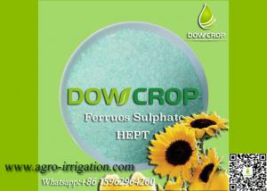 China DOWCROP HIGH QUALITY 100% WATER SOLUBLE HEPT SULPHATE FERROUS 19.7% GREEN CRYSTAL MICRO NUTRIENTS FERTILIZER wholesale
