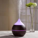 Home Appliance Ultrasonic 200ml Mini Air Humidifier Oil Diffuser