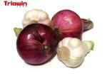 Onion paste processing machine Fruit And Vegetable Processing Line Onion