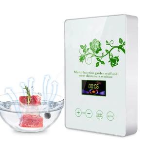 China Homefish Glass Panel Portable Fruit Vegetable Sterilizing Intelligent Multifunction Machine 400mg/h Ozone Generator for Kitchen wholesale