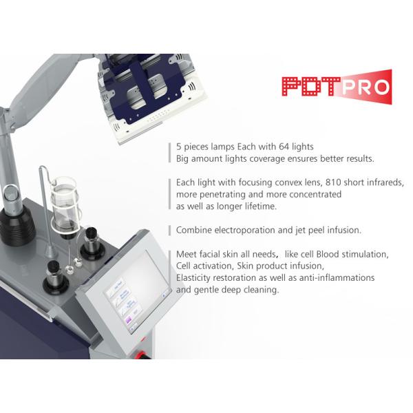 No Side Effects Photodynamic Therapy Equipment With 8" LCD Touching Screen