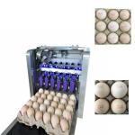 Eggs Batch Code Food Inkjet Printer , Continuous Laser Marking Machine