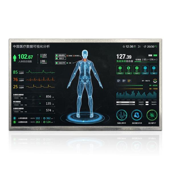 13.3 Inch1000nits EDP TFT LCD Display 1920*1080 Pixels 30Pins Big Size Display