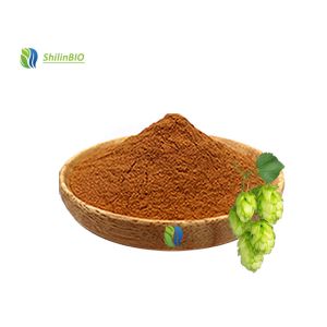 Hops Flower Extract Powder 1%-98% Xanthohumol