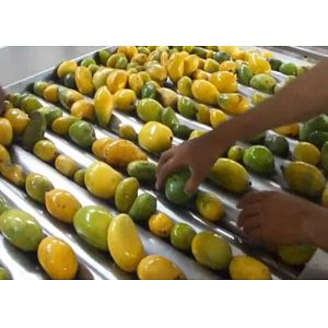Advanced Dried Mango Processing Machine / Commercial Mango Drying Machine