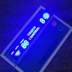 Common Anode 7 Segment LED Display for Commercial Applications