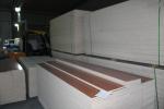 Finished Surface Waterproof Particle Board , Both Side Pressed Particle Board