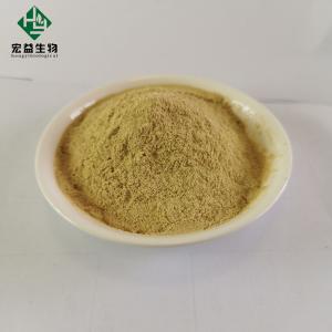 China Food Grade Citrus Aurantium Fruit Extract Hesperidin 98% Light Yellow Powder wholesale