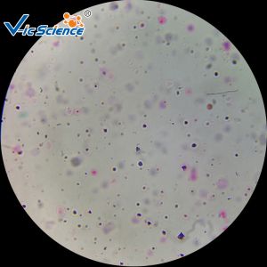 Professional Labs Sterile Microscope Slides Set 15pcs VIC09 OEM Service