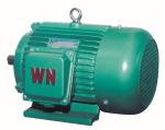Quick Stop Function Variable Speed Electric Motor For Forging Press