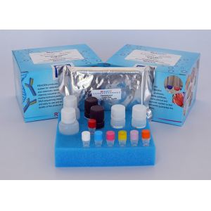 China Rapid Detection Apramycin ELISA Test Kit Competitive Enzyme Immunoassay wholesale