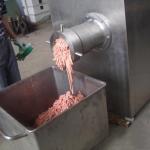 Advantage Multi-function Frozen Meat Grinder with Large Capacity and Customizabl
