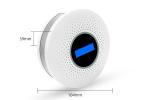 2 In 1 Carbon Monoxide And Smoke Detector LCD Display Replaceable Battery CO