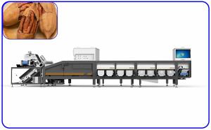 Accurate Peanut Grading Sorting Machine 0.8 - 1.2 T/H 8 Channel