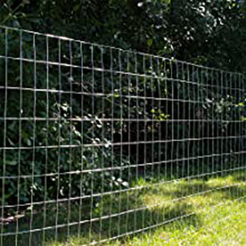 Galvanized iron wire mesh construction welding network welded wire mesh galvanized welded wire mesh