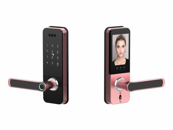 Quality Upgrade Your Home or Business Security with Smart Lock Keyless Entry and More metal drawer lock for sale