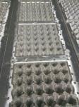 Big Output Egg Tray Machine Equipped Multilayer Drying Line Fully Automatically