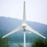 Design 3KW Off Grid Home Wind Power System with Pure Sine Wave Low Frequency