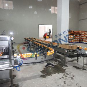 Automatic Ce Standard Bottle Pasteurization Tunnel