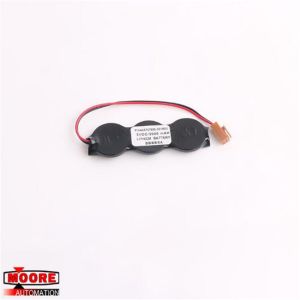 IC698ACC701  GE  RX7i CPU Lithium Battery And Spare Door