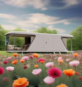 China Customizable Space Capsule House Unique Design Various Applications Interior Rendering Picture Included on sale