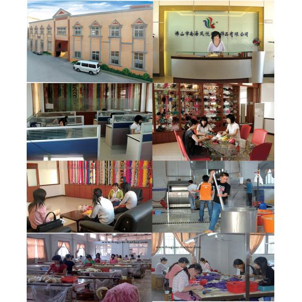 25-30cm Decor Millinery Feather , Head Arrow Stripped Ostrich Plume Feathers