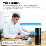 16A EU Plug Zigbee Smart Socket Tuya WIFI Smart Socket