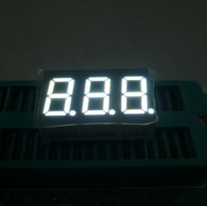 China 0.56&quot; 3 Digit 7 Segment LED Display For Digital Temperature / Humidity Indicators wholesale