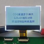 Static Drive Custom LCD Display Module With ST7567 IC Monochrome Color