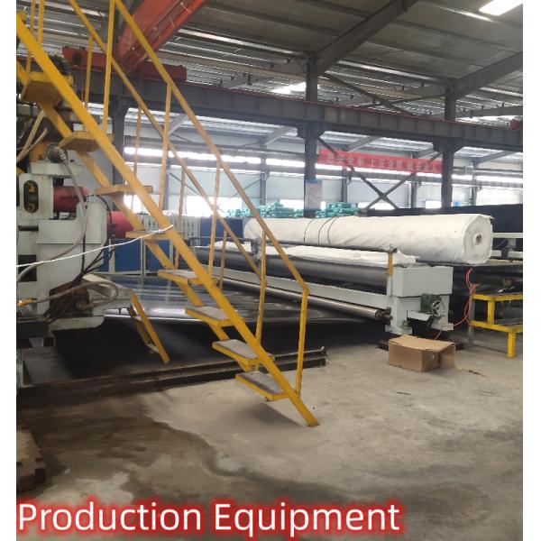 Direct Project Solution Capability Graphic Design Geomembrane for Landfill Site Black