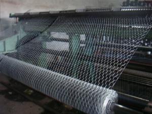 China China Factory plastic coated HEXAGONAL wire mesh wholesale