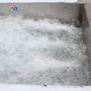 3KW Bubble Circulating Surfing Fruit And Vegetable Washing Machine Ozone