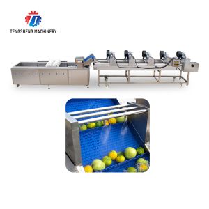 China Customization Ozone Sterilization Fruit And Vegetable Processing Line Dry Detoxification wholesale