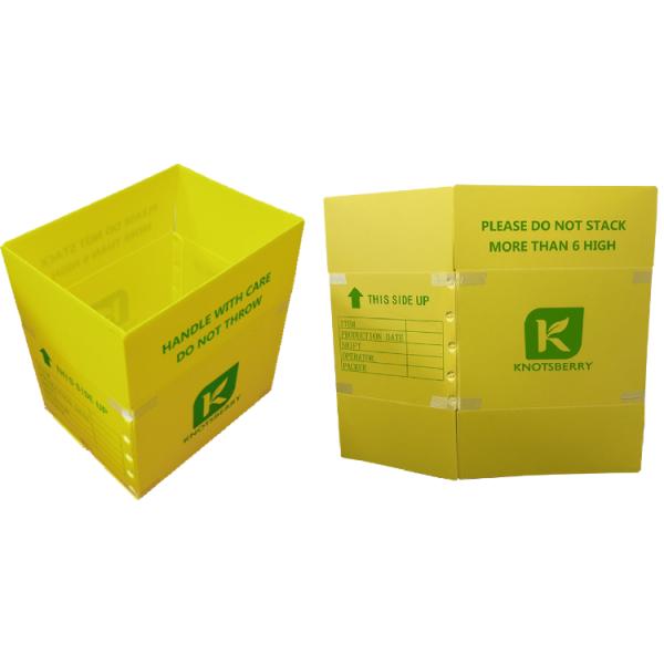 Polypropylene PP Corrugated Plastic Packing Box Lightweight Customized