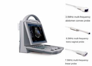Portable Pregnancy Ultrasound Scanner with Abdominal Convex Transvaginal Transducers