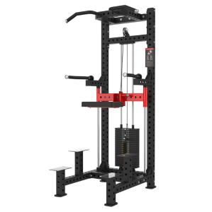 Single And Parallel Bars Trainer For Dumbbell Shoulder Push Pull Upward Leg Insertion