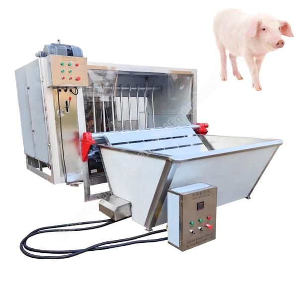 Quality dehairing machine for pig pig scalding and dehairing machine pig slaughter for sale