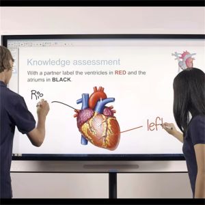 75 Inch LCD Interactive Smart Board Touch Digital Whiteboards Interactive