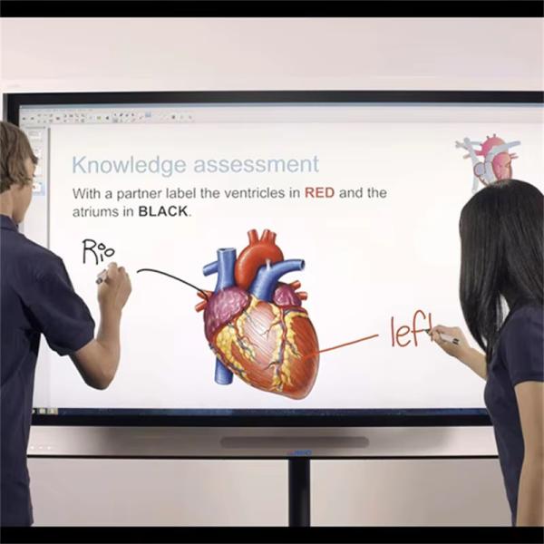 75 Inch LCD Interactive Smart Board Touch Digital Whiteboards Interactive