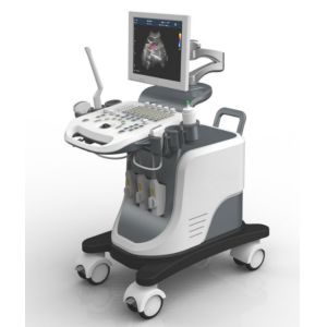 China Full Digital Trolley 4D Echo Ultrasound Machine With LED Screen wholesale