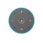 Amazon Alexa Smart AI Speaker Digital Class D Amplifier Speaker Passive Type